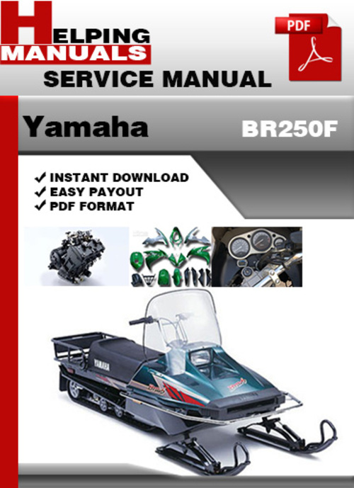 Product picture Yamaha BR250F Service Repair Manual Download